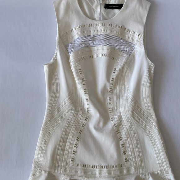 Robert Rodriguez Kuba Mesh Embroidered Dress, size XS - Picture 5 of 15